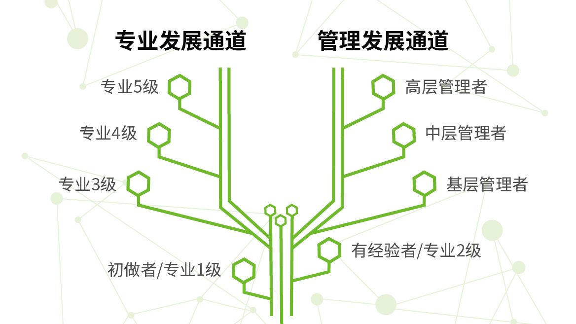 職業發展通道